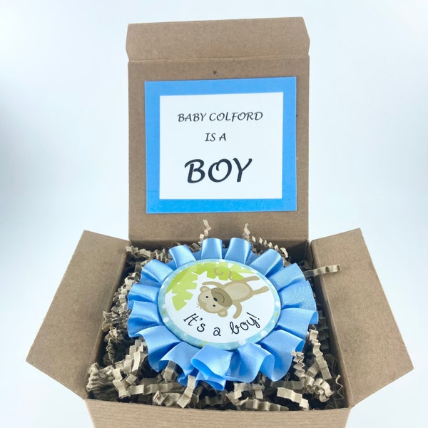 Gender Reveal Box Gender Reveal Gift He or She Boy or Girl Gender Reveal Surprise Box