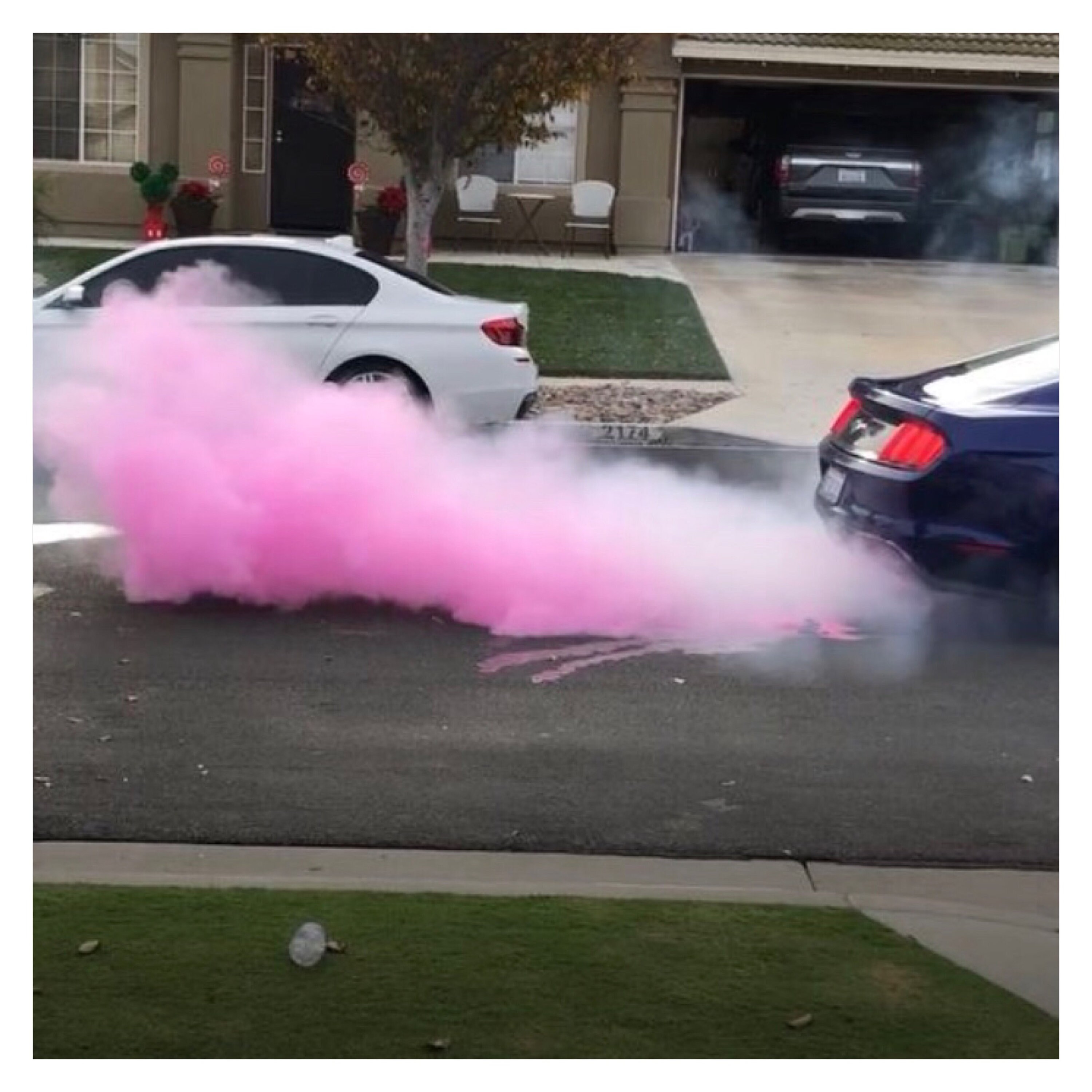 Premium Burnout Gender Reveal Tire Pack Burnout Pink Blue Etsy UK