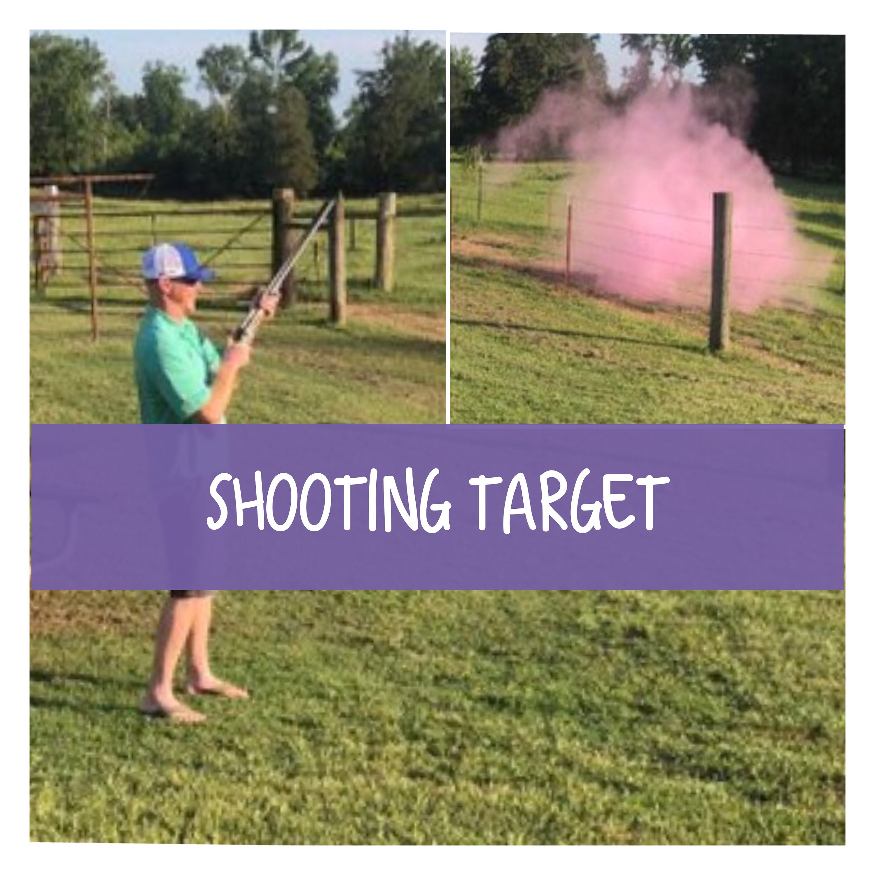 3 Shooting Target Gender Reveal Shooting Target Gender Etsy