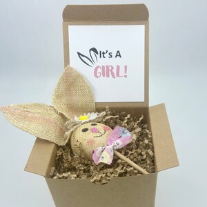 Easter Bunny Gender Reveal Box Bunny Pregnancy Announcement Baby Announcement Gift Grandparent Pregnancy Announcement