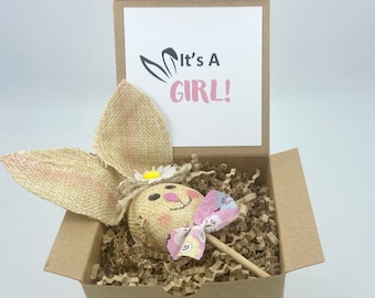 Easter Bunny Gender Reveal Box Bunny Pregnancy Announcement Baby Announcement Gift Grandparent Pregnancy Announcement