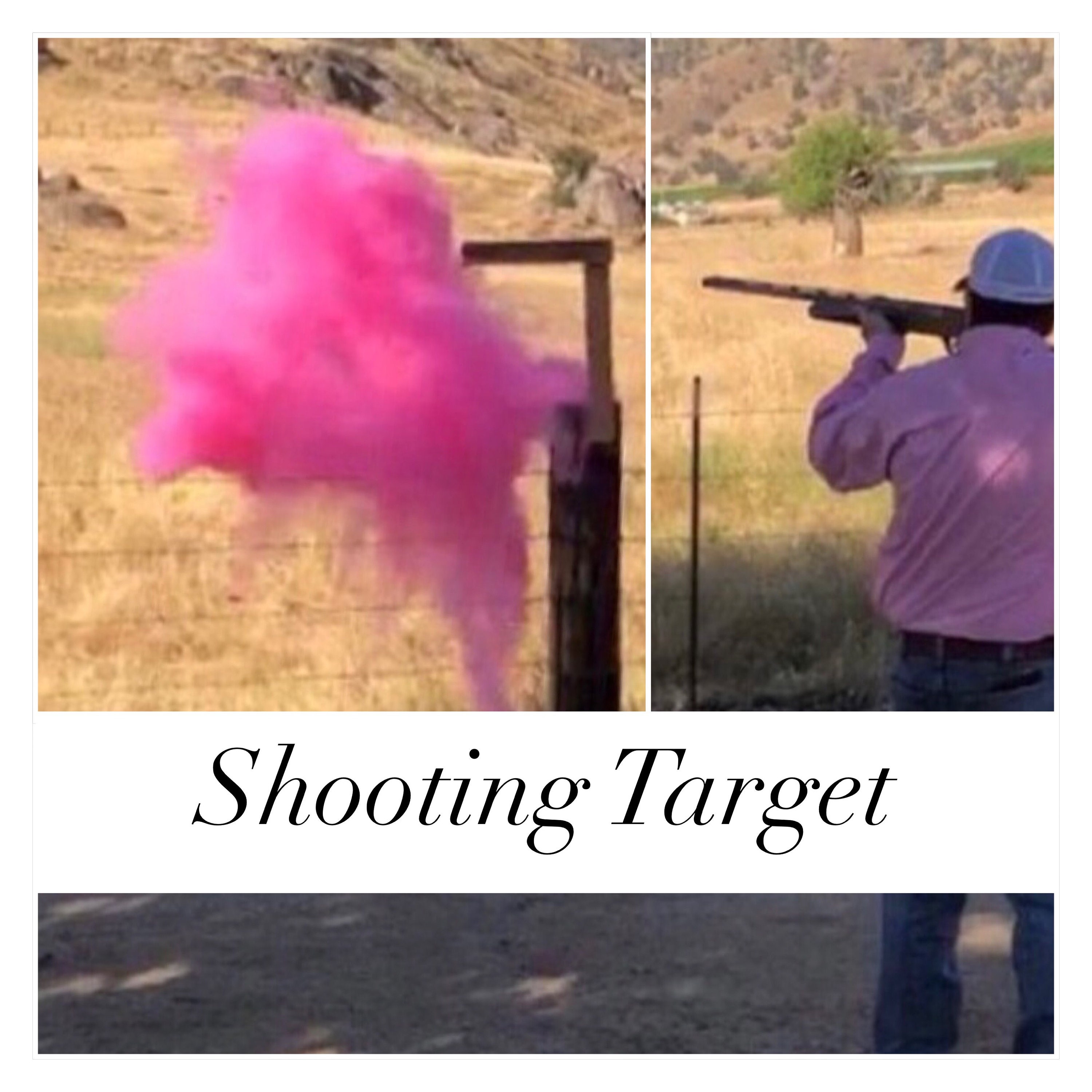 NEW 9 SHOOTING TARGET Gender Reveal Shooting Target Etsy