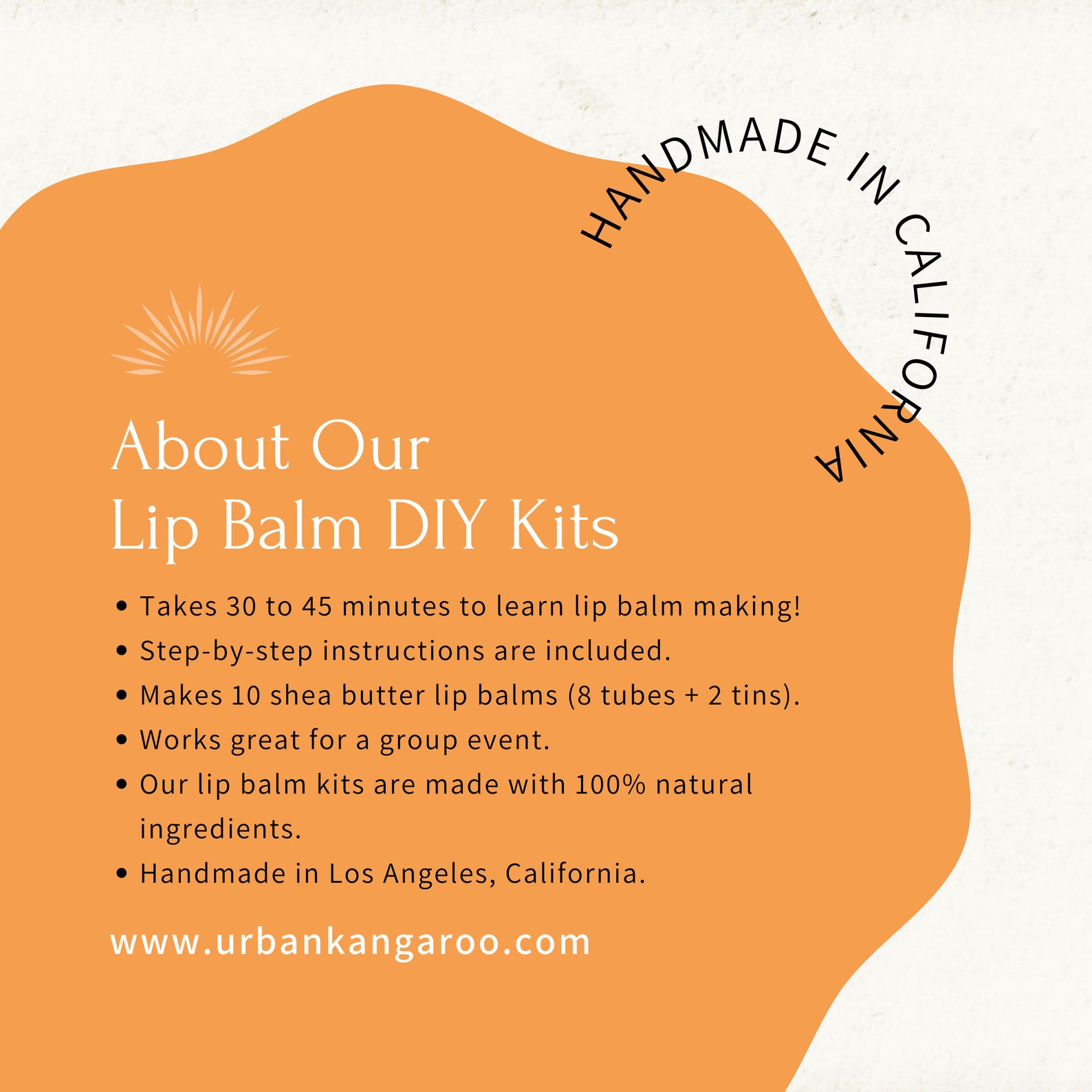 Lip Balm Making Kit Make 10 All Natural Moisturizing Lip Etsy
