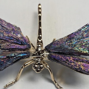 Guía espiritual de la libélula de cristal de cianita arcoíris