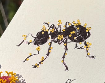 May include: A small, rectangular artwork featuring a black ant with yellow accents. The ant is depicted in a detailed, illustrative style. The artwork is held in front of a vibrant garden with orange and yellow flowers.