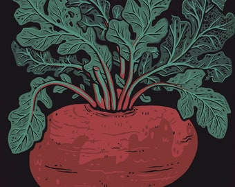May include: A framed art print featuring a stylized illustration of a beet. The beet is a vibrant red color with green leaves and roots, set against a black background. The artwork is in a wooden frame.