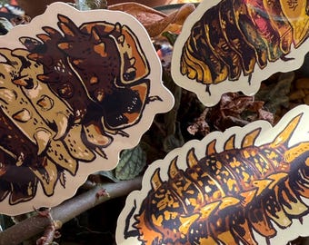 May include: Three colorful stickers featuring detailed illustrations of pill bugs. The stickers showcase a variety of colors, including brown, orange, and yellow, with intricate patterns. The stickers are placed among green plants in a decorative setting.