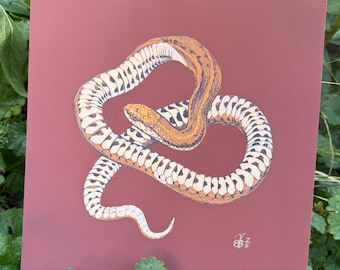 May include: A square print featuring a detailed illustration of a snake in shades of orange, white, and black, coiled on a maroon background. The artwork is set against a backdrop of green foliage and plants.