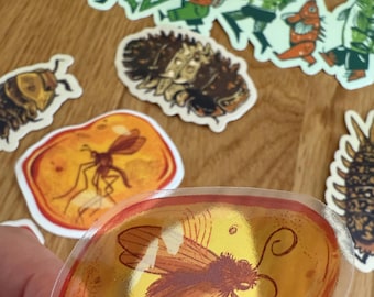 May include: A collection of stickers featuring insects and other creatures. One sticker shows a brown insect encased in amber. Other stickers include various insects and fish in shades of green, brown, and orange.