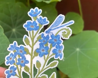 Forget-me-not & Damselfly Sticker
