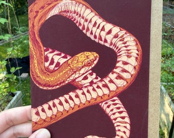 Brown Snake Card | Blank Inside | Snail Mail | 5"x7"