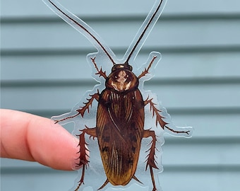 how to get rid of cockroaches in car malaysia
