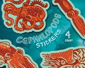 May include: A set of four cephalopod stickers. The stickers feature illustrations of an octopus, squid, and nautilus in shades of orange and red, with a light blue outline. The text "CEPHALOPODS STICKERS" and "4 COUNT" are also included.