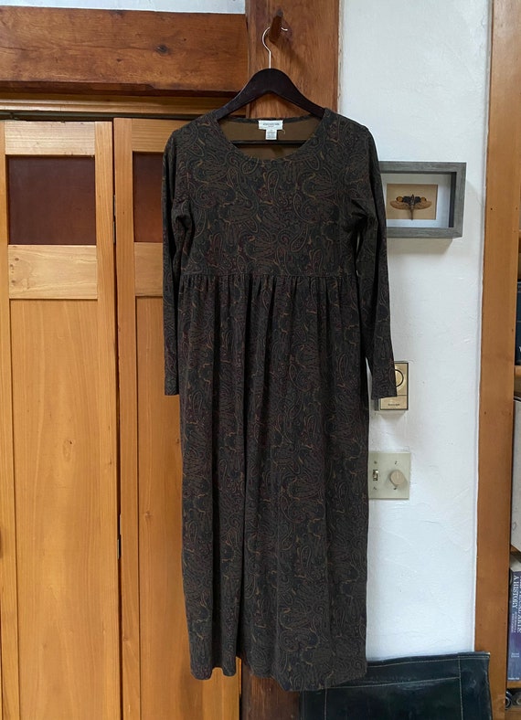 Vintage Paisley Velveteen Maxi Dress w/ Empire Wa… - image 6