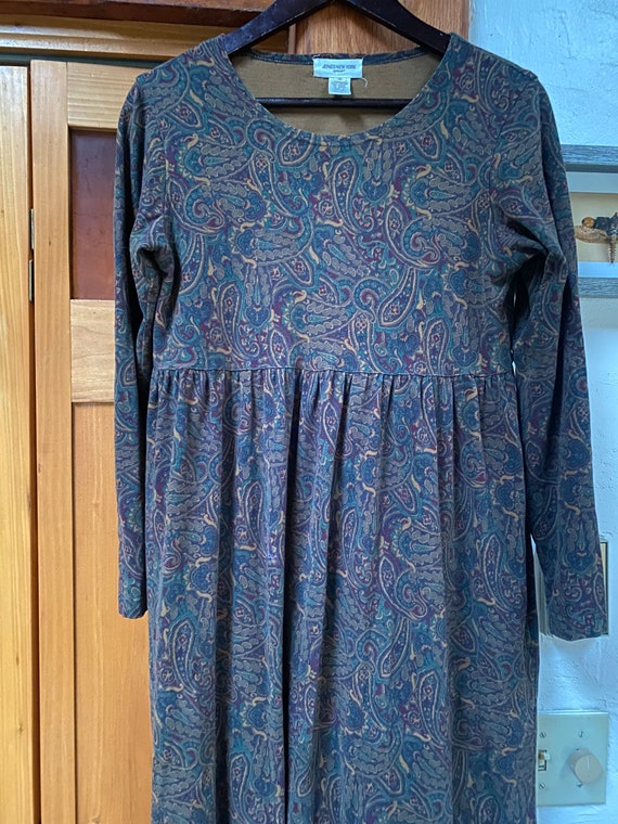 Vintage Paisley Velveteen Maxi Dress w/ Empire Wa… - image 7