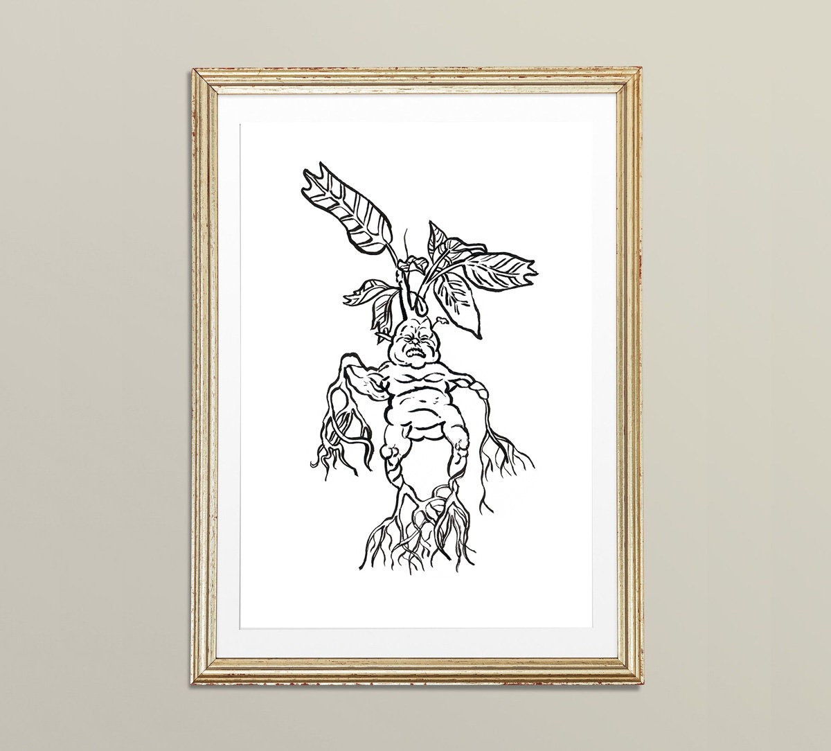 Mandrake Print, Mandragora SVG, Mandrake Png, Mandragora Png, Magic ...