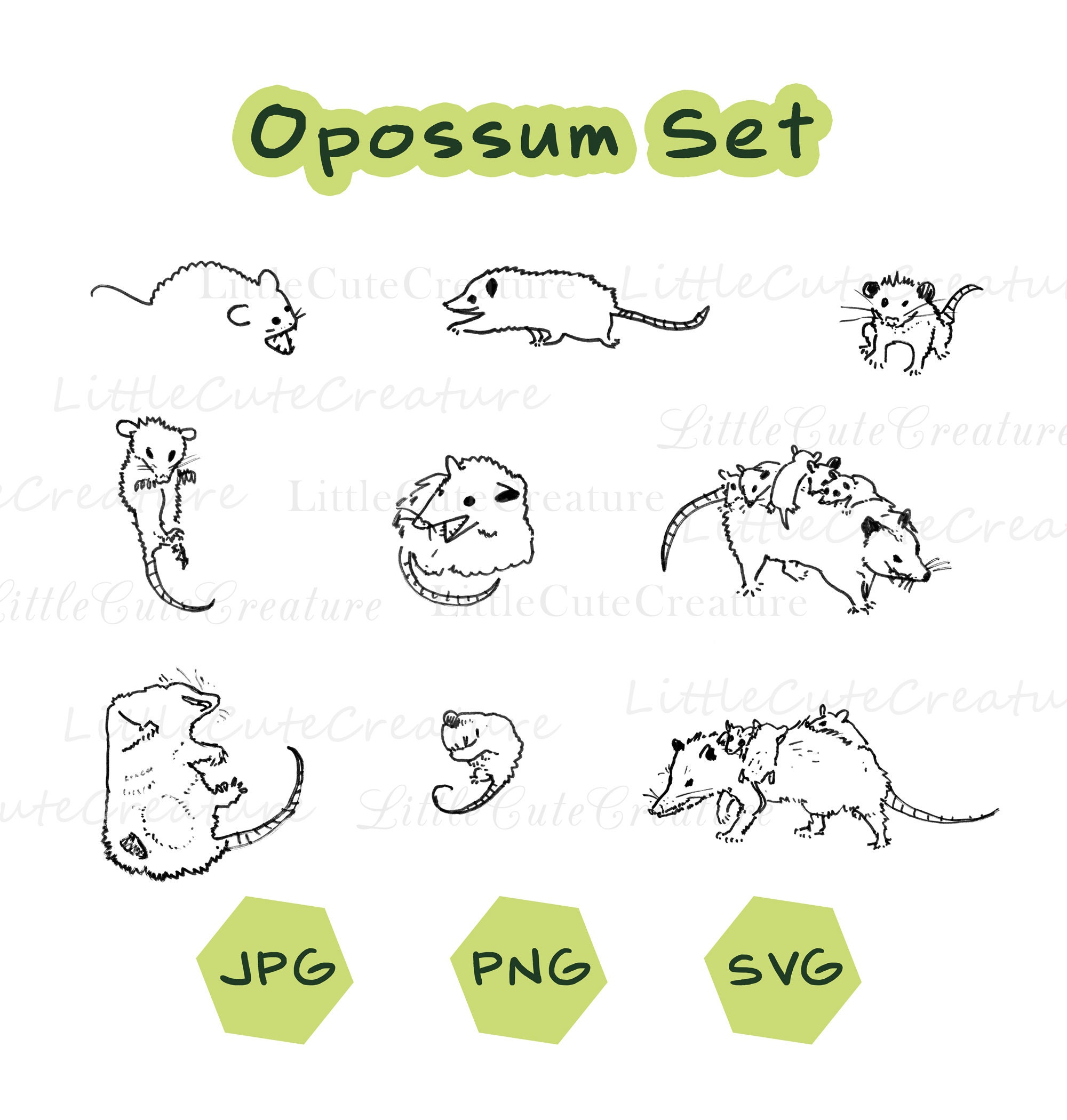 Opossum Png Sublimation, Print at Home Cutting File, Opossum Lovers ...
