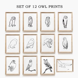 Set of 12 Owl Prints, Digital Download, Wizard Nursery Decor, Scandinavian Owl Wall Art, Minimalist Owl Drawings, Barn Owl Artwork