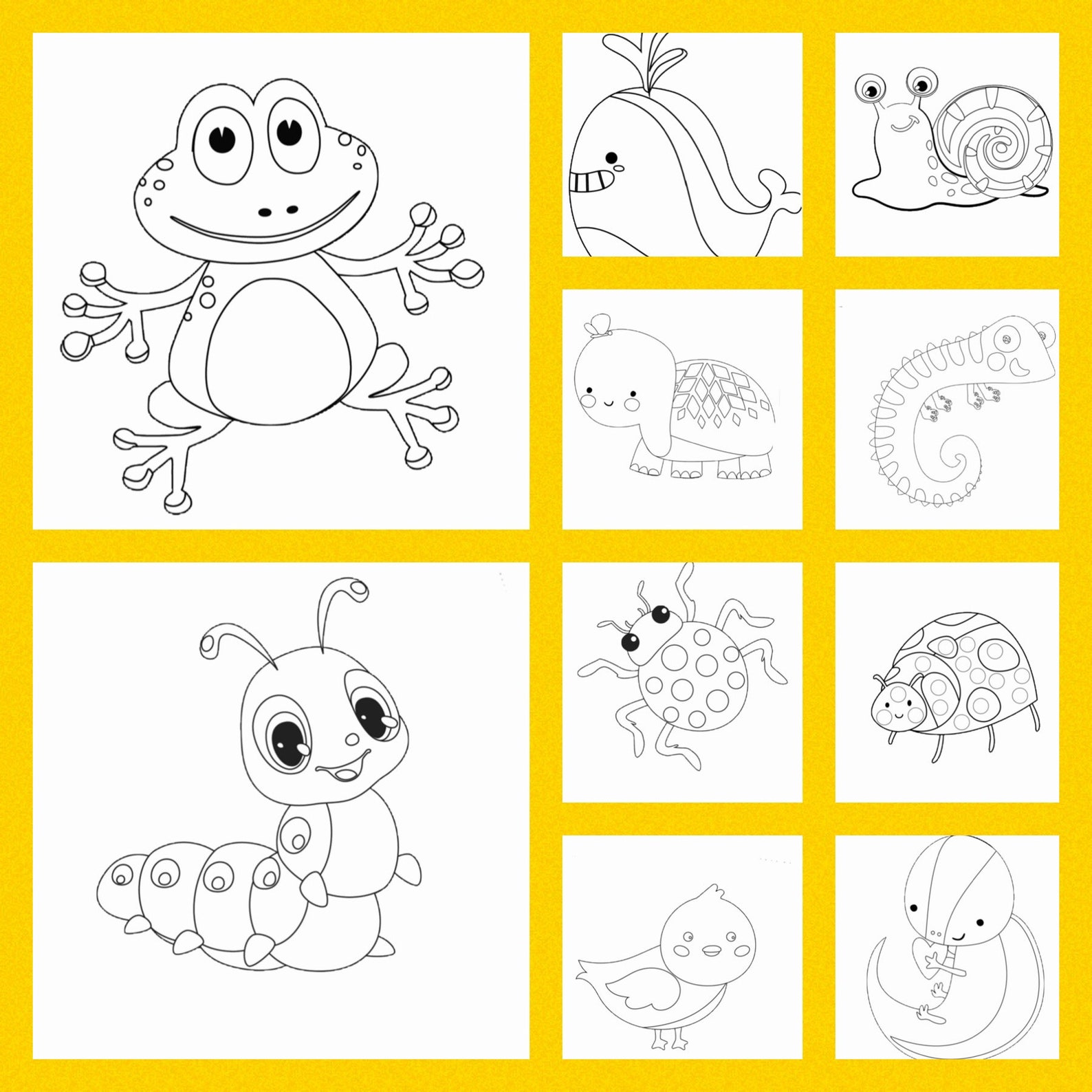 Elementary Color Sheet.pdf PRINTABLE