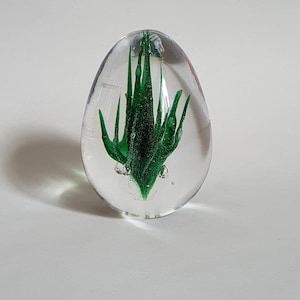 Op de afbeelding: Een transparante glazen brievengewicht met een groen plantenontwerp erin. De plant is een gestileerde weergave van een varen of een andere bladplant.