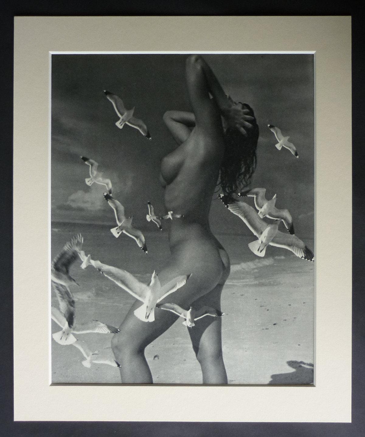 1950's erotica