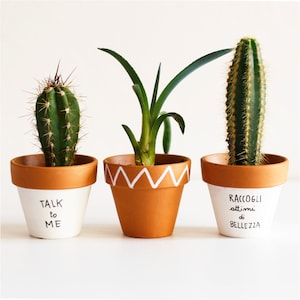 Può includere: Tre vasi di terracotta con piante diverse e messaggi dipinti. Il primo vaso ha un cactus e dice "Talk to Me". Il secondo vaso ha una succulenta e un motivo a zig-zag bianco. Il terzo vaso ha un cactus e dice "Raccogli attimi di Bellezza".