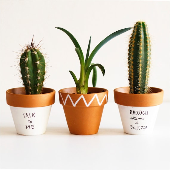 Personalized terracotta vases, plant pots decorated with phrases