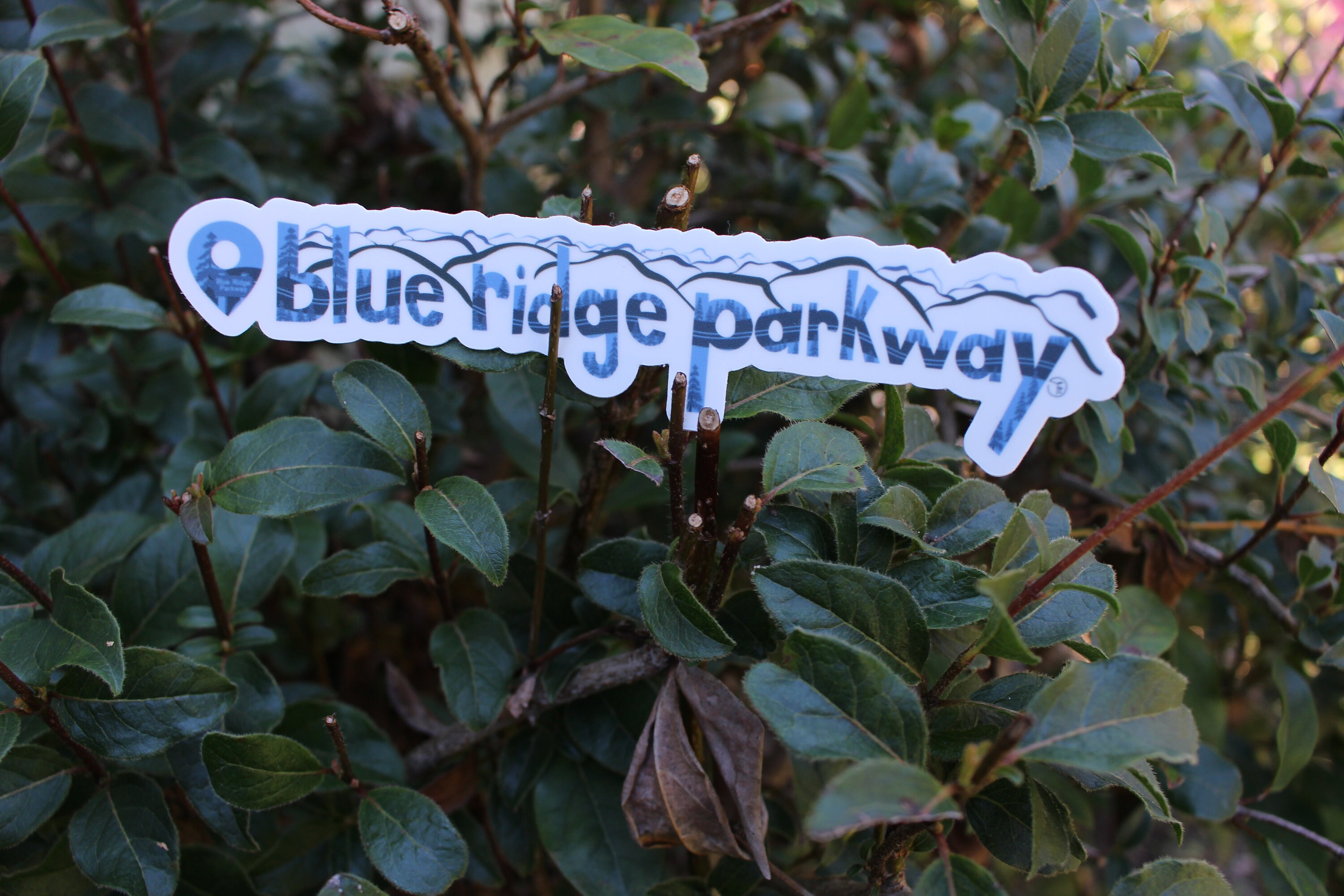 Blue Ridge Parkway Location Sticker National Park Sticker - Etsy