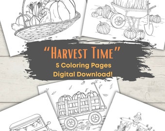 Dibujos para colorear de la cosecha de otoño, ilustraciones de calabazas (descarga digital)