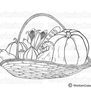 Harvest basket filled with gourds, pumpkins and corn.