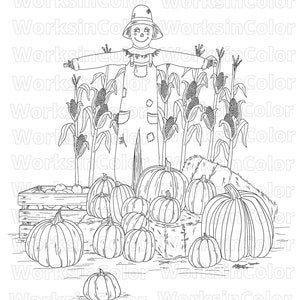 A hand drawn illustration with pumpkins on hay bales and a scarecrow in a corn field.