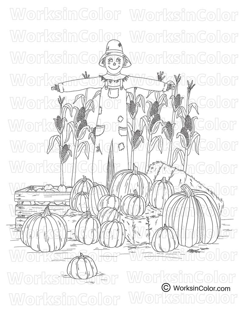 A hand drawn illustration with pumpkins on hay bales and a scarecrow in a corn field.