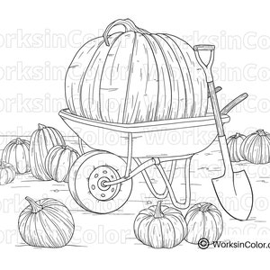 A shovel leans against an old wheel barrow filled with the biggest pumpkin in the patch.