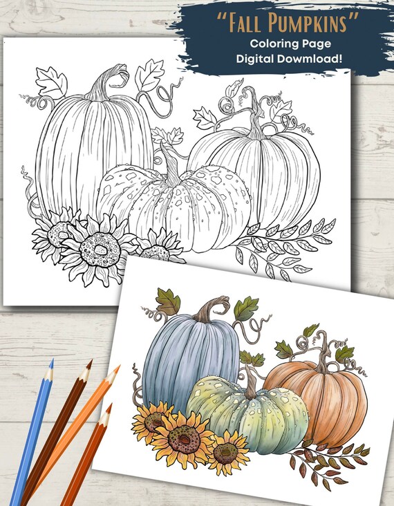 Fall Pumpkins and Sunflower Adult Coloring Page DIGITAL