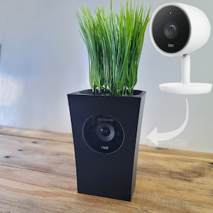 Nest camera india hot sale