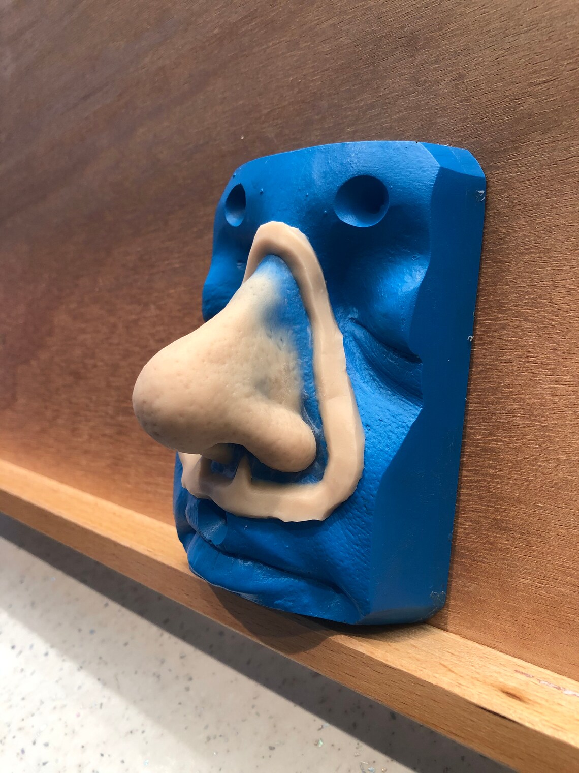 Large Prosthetic Nose Etsy