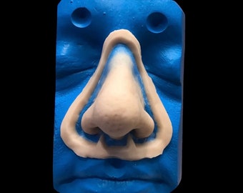 Large prosthetic nose