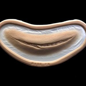 Puede incluir: Primer plano de un molde de silicona de aspecto realista de una gran herida abierta con un borde irregular y cosido. El molde es beige y tiene un borde blanco. El texto "FAKE FX" es visible en la parte inferior del molde.