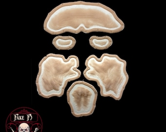 Full old age prosthetic set