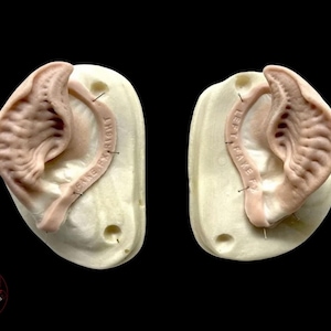 Alien/ Bat prosthetic ears