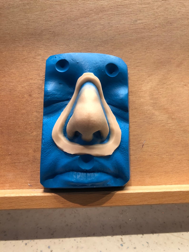 Prosthetic Nose Etsy