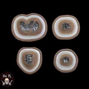 Conjunto protésico de cyborg