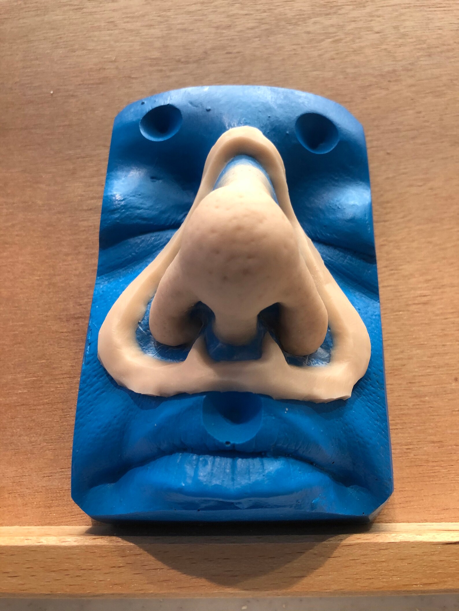 Large Prosthetic Nose Etsy