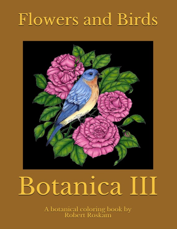 78 Coloring Book Birds Pdf Free 78 Coloring Book Birds Pdf Free