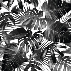 May include: Black and white tropical leaf pattern. The design features large, detailed leaves of various shapes, including split-leaf philodendrons and palm fronds, set against a white background. The leaves have a gradient effect, creating depth and texture.