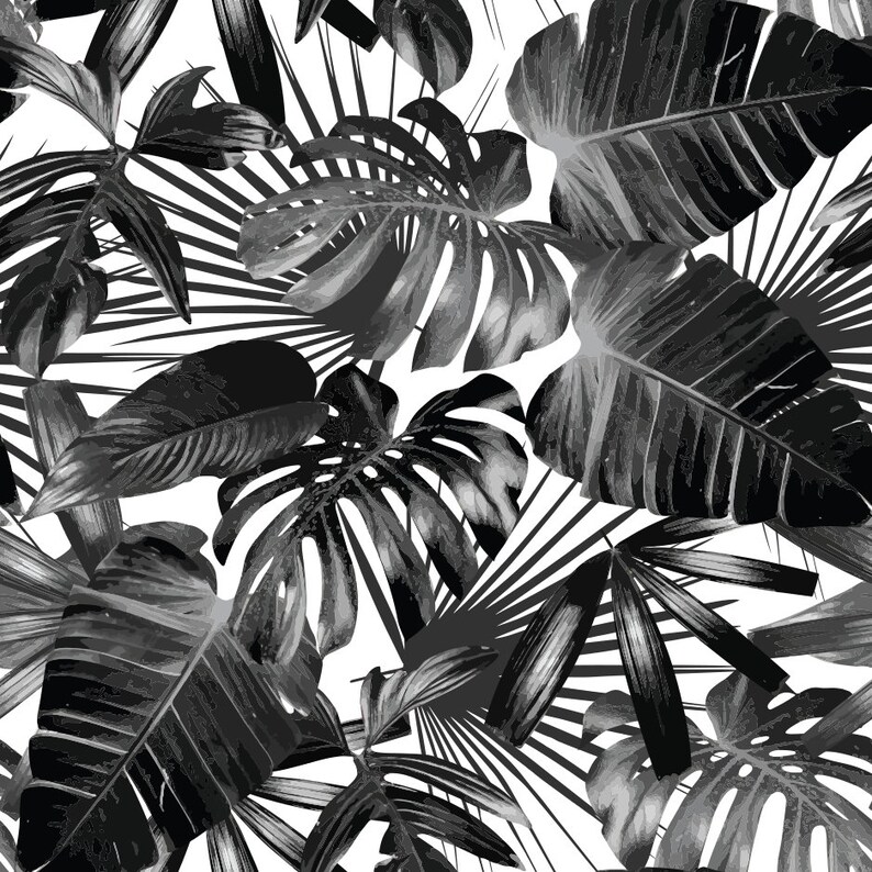 May include: Black and white tropical leaf pattern. The design features large, detailed leaves of various shapes, including split-leaf philodendrons and palm fronds, set against a white background. The leaves have a gradient effect, creating depth and texture.
