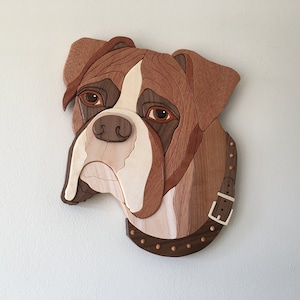 Boxer Intarsia (ears down)