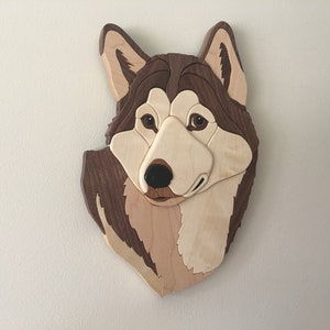 Siberian Husky