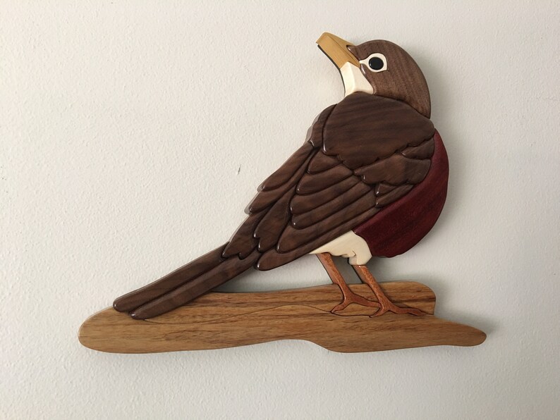 Robin Intarsia