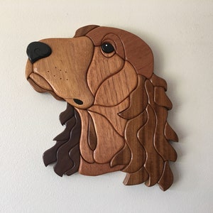 Irish Setter Intarsia